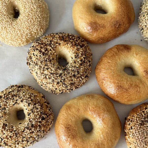 sourdough bagels