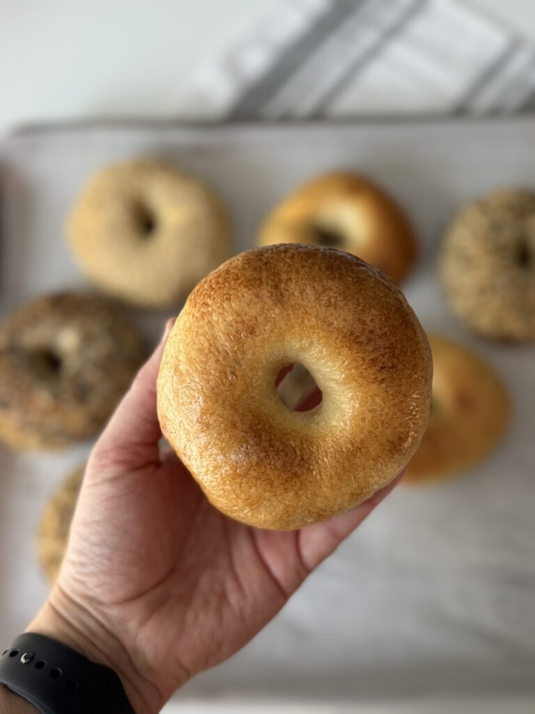 sourdough bagels