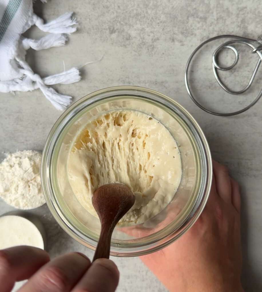 Amish friendship sourdough starter