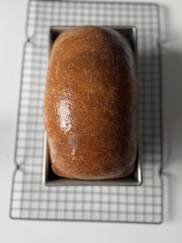 baked sourdough sandwich loaf