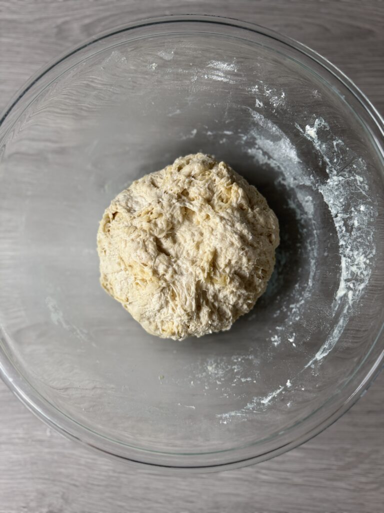 mixed bagel dough