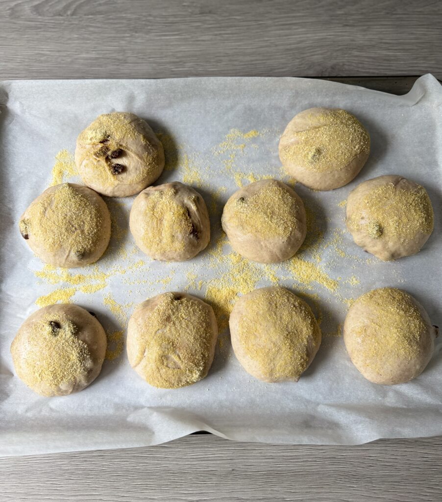 proofed english muffins