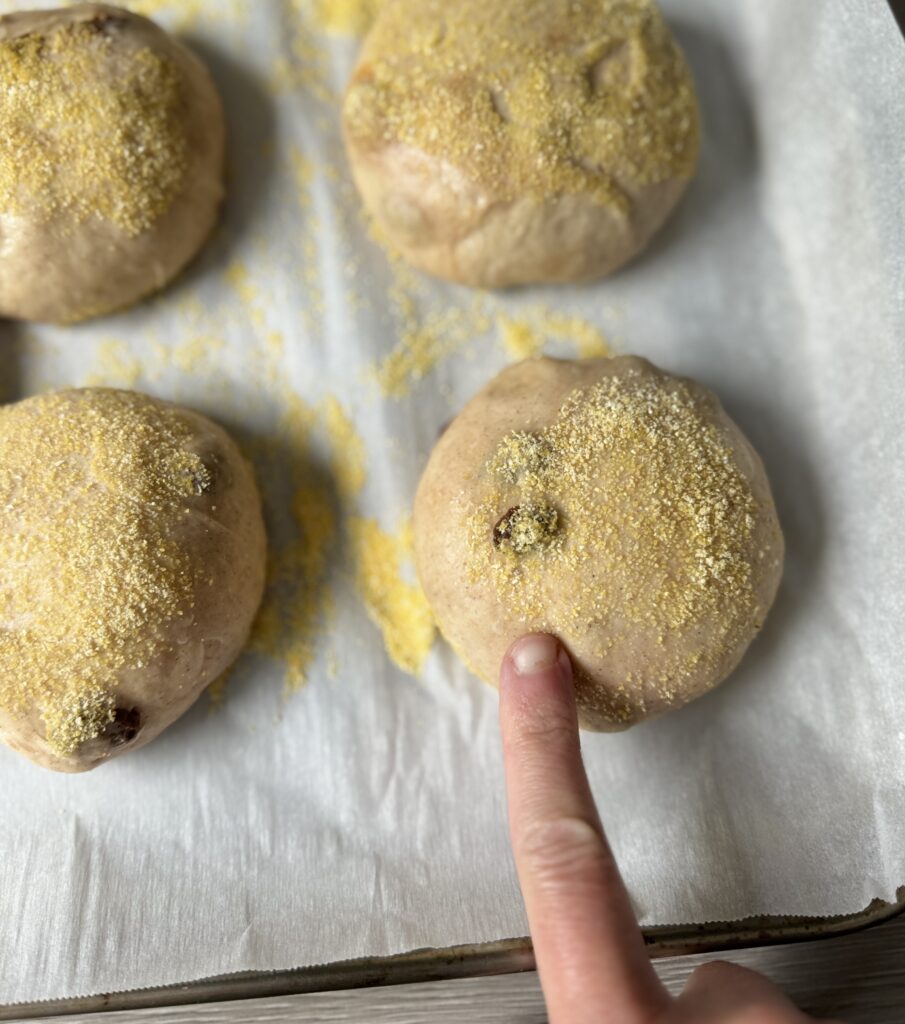 proofed english muffins