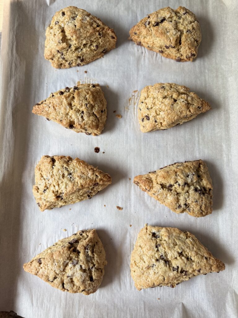 baked chocolate chip sourdough scones