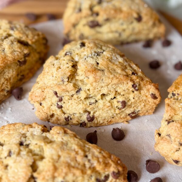 chocolate chip sourdough scones