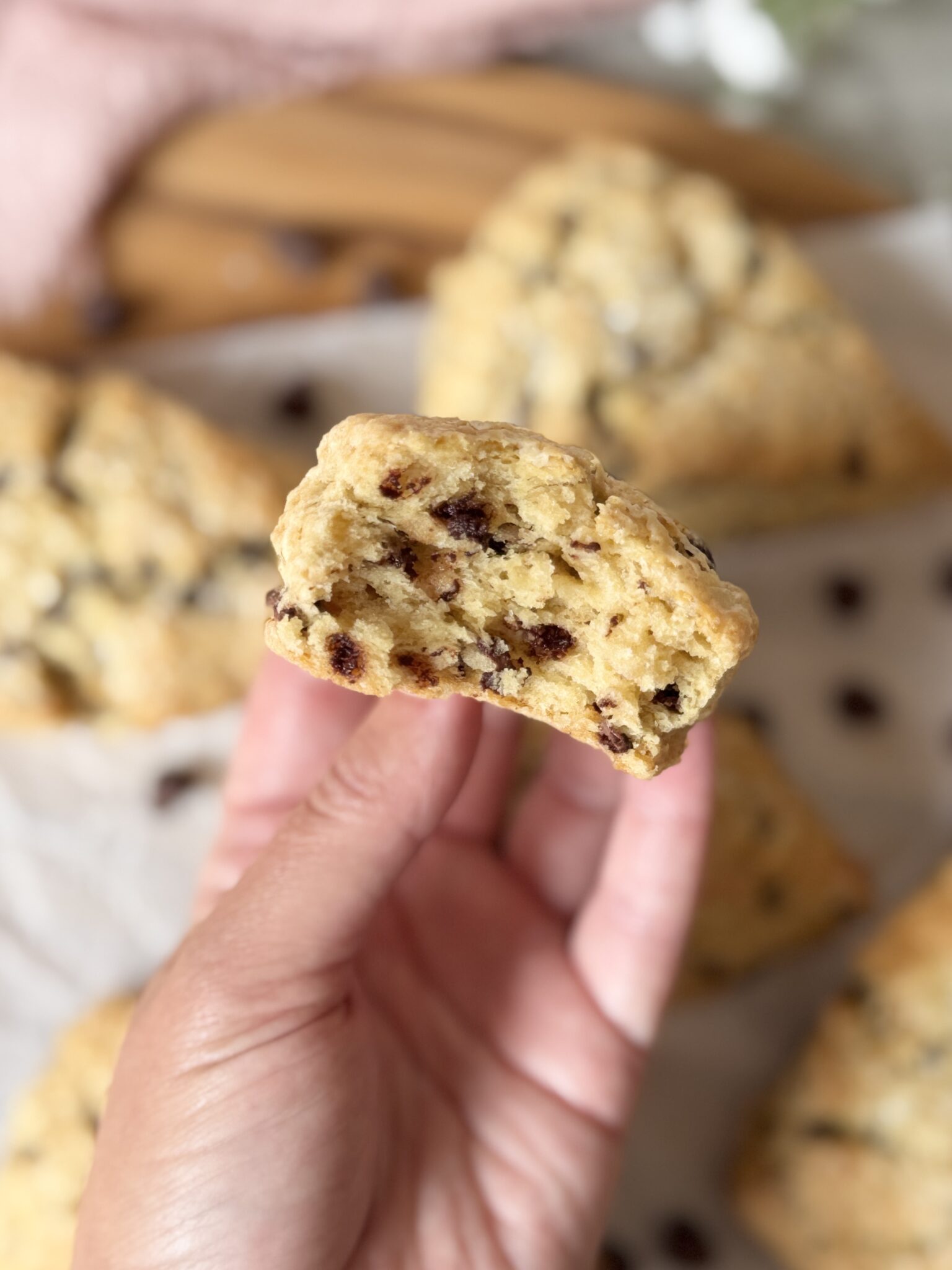 Chocolate Chip Sourdough Scones (easy discard recipe) - Healing Slice
