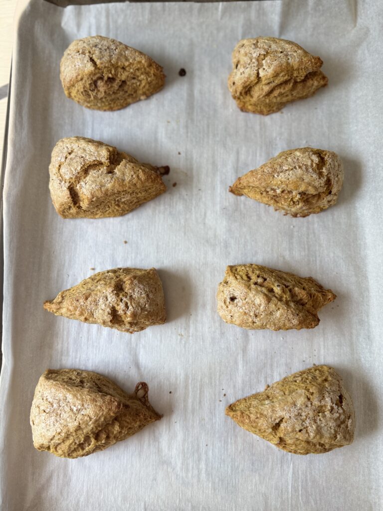 baked sourdough pumpkin scones