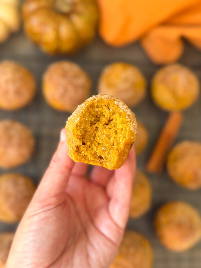sourdough pumpkin donut muffin crumb