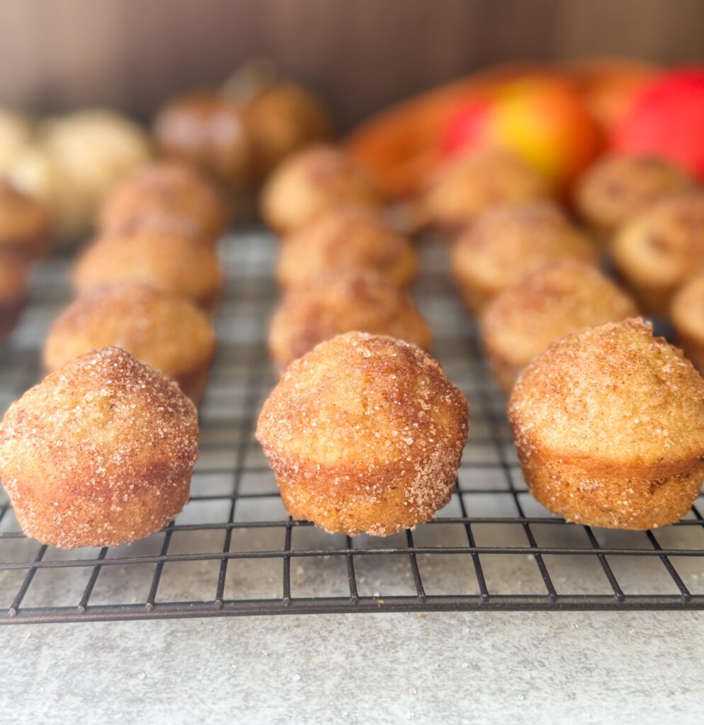 apple cider sourdough donut muffins