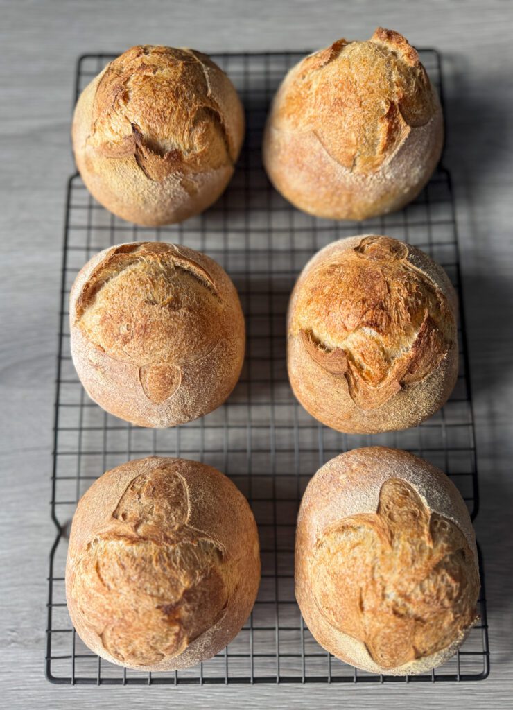 baked sourdough bread bowls