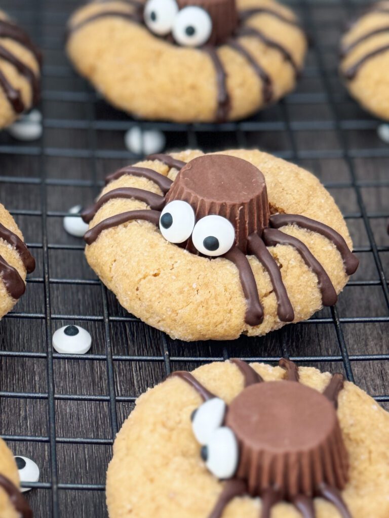 sourdough peanut butter spider cookies