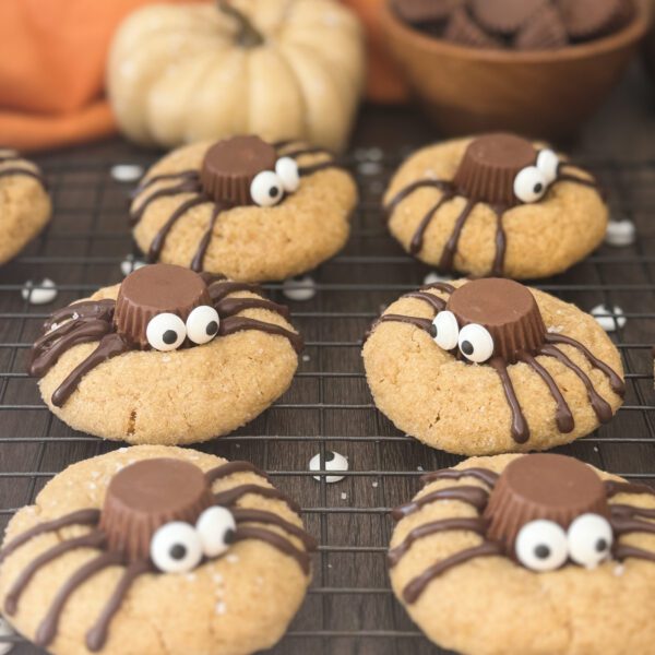 sourdough peanut butter spider cookies