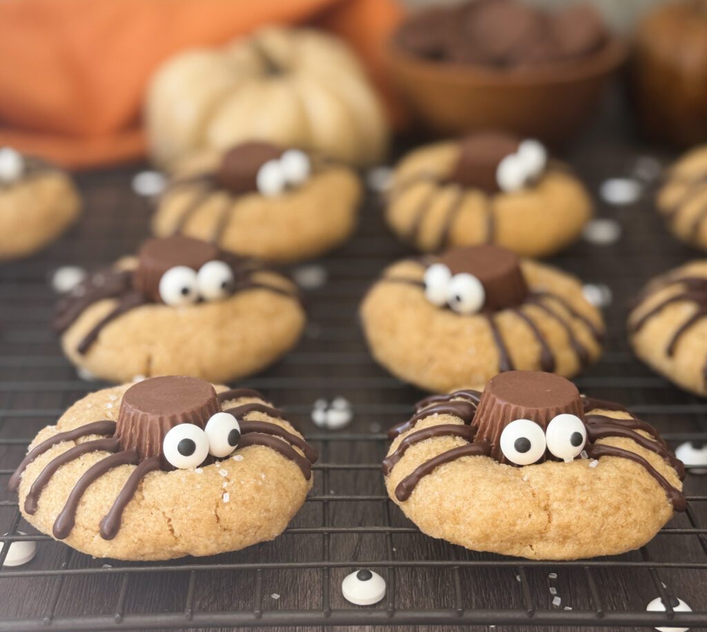 sourdough spider cookies