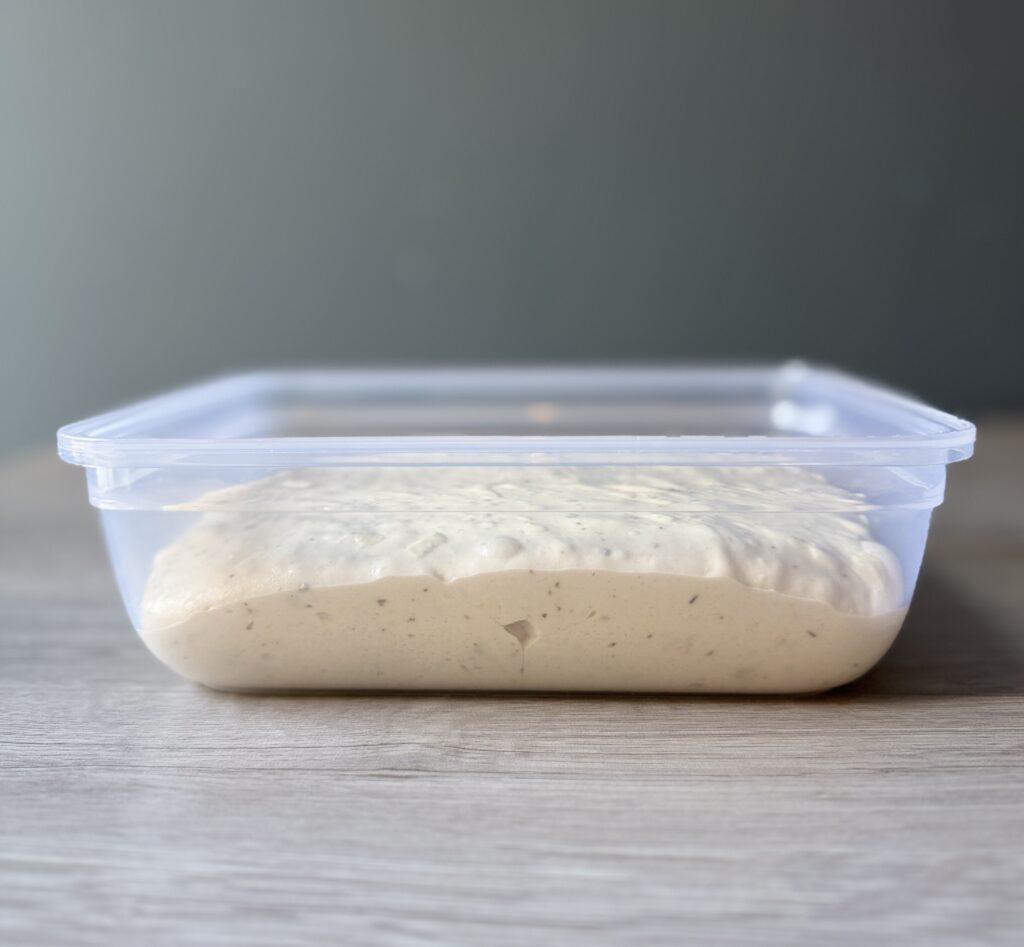 ciabatta dough