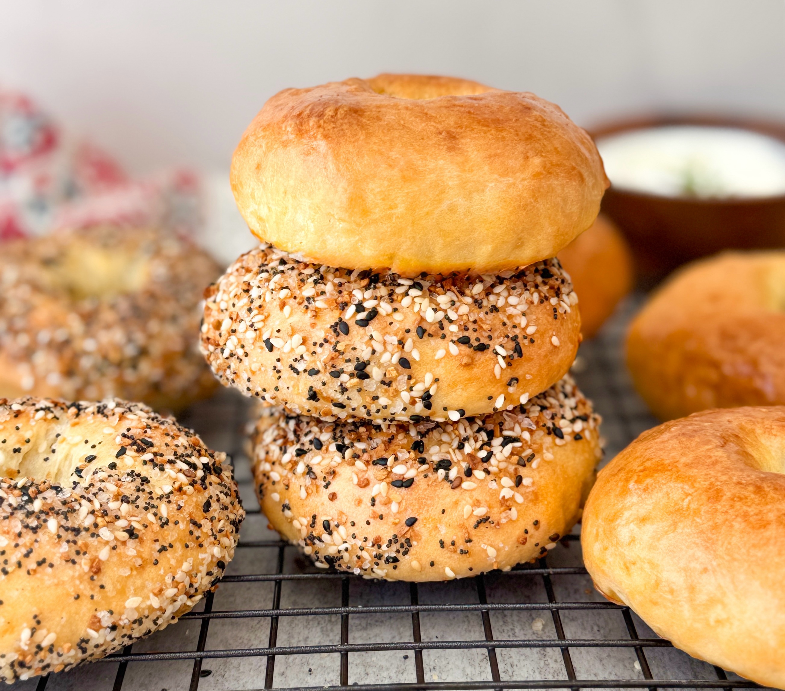sourdough discard protein bagels with Greek yogurt