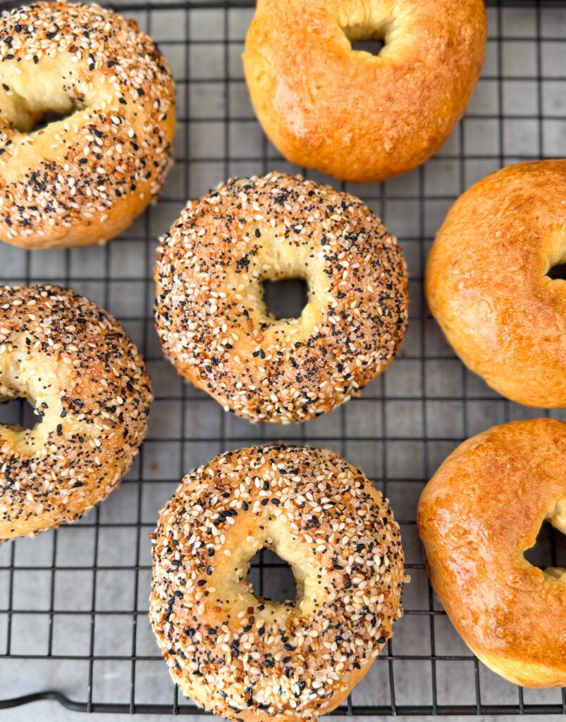 sourdough discard protein bagels