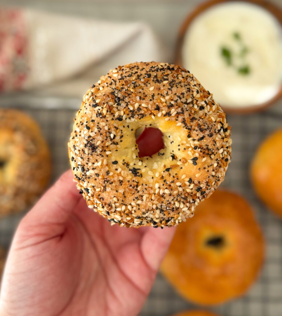 sourdough protein bagels