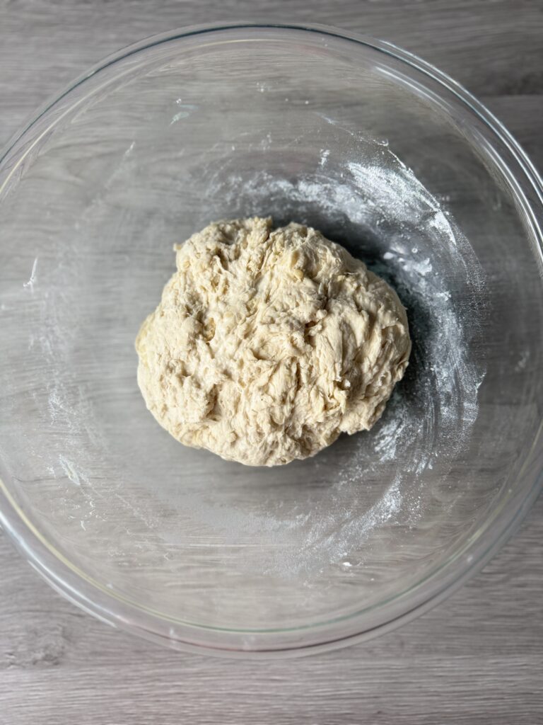mixed pizza dough