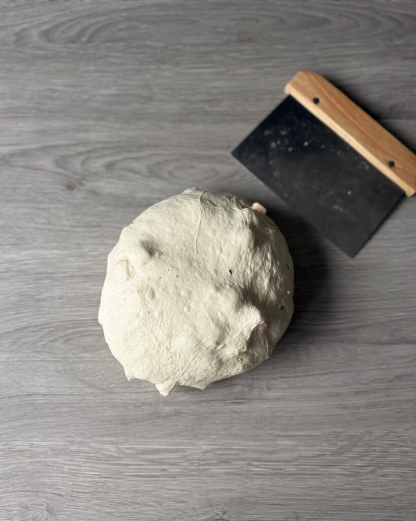 pre-shaped sourdough bread