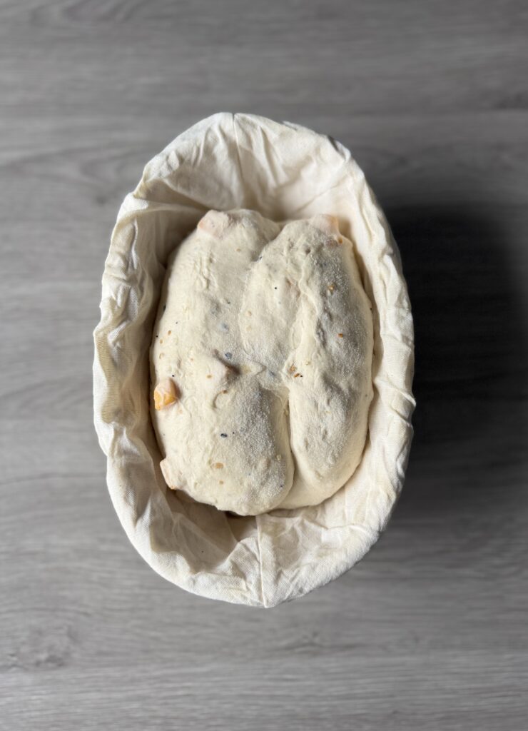 shaped everything bagel dough