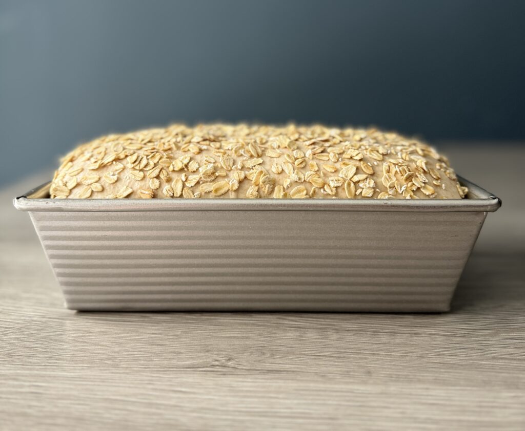 proofed honey wheat sourdough sandwich bread