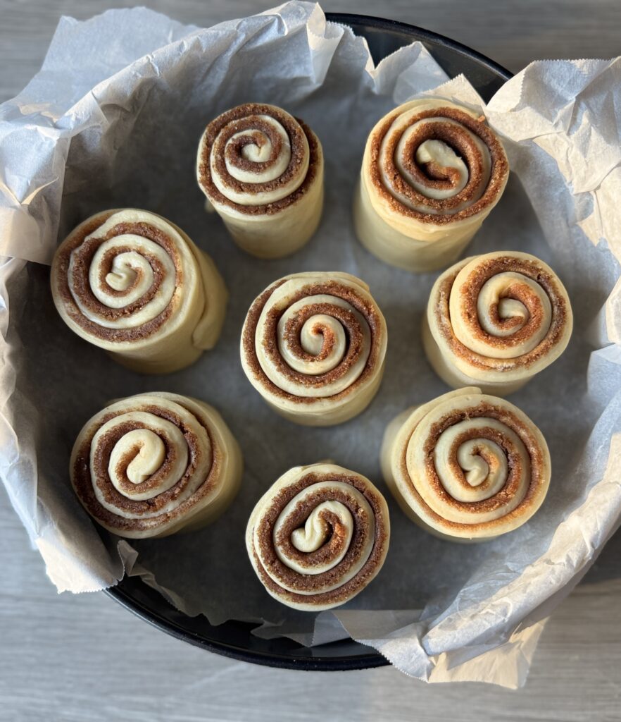 sourdough cinnamon rolls shaped