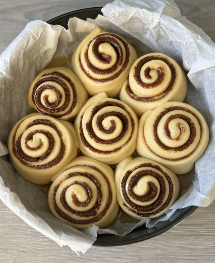 sourdough cinnamon rolls proofed