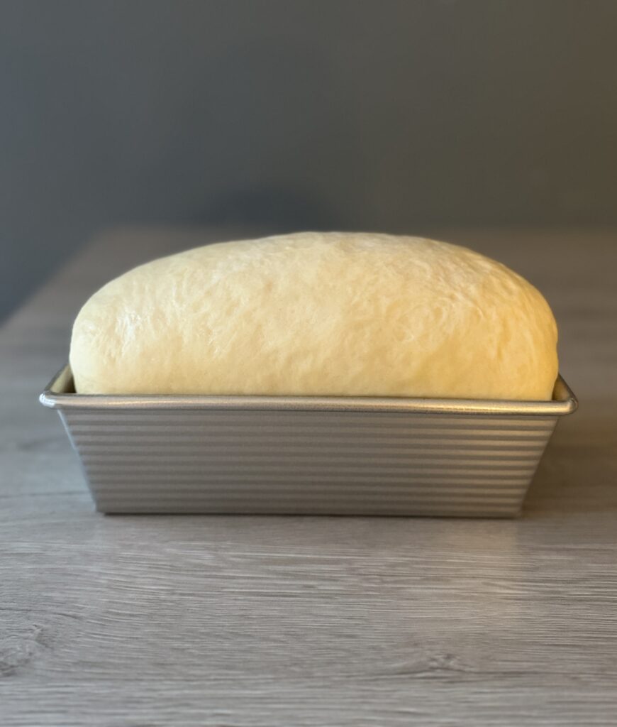 proofed sourdough discard sandwich bread 