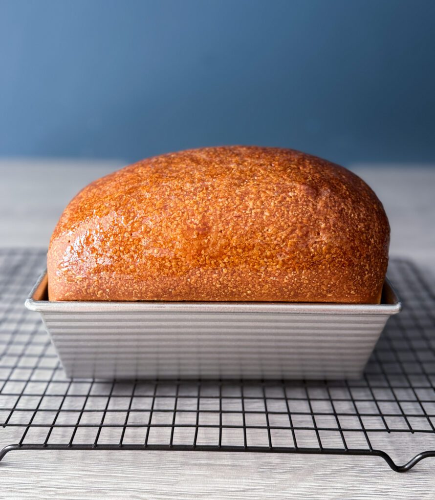 baked discard sandwich bread