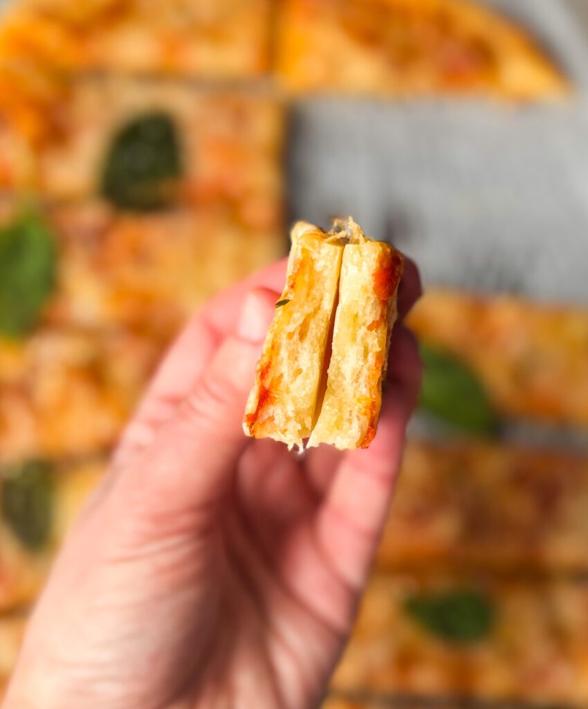 sourdough discard pizza stick crumb