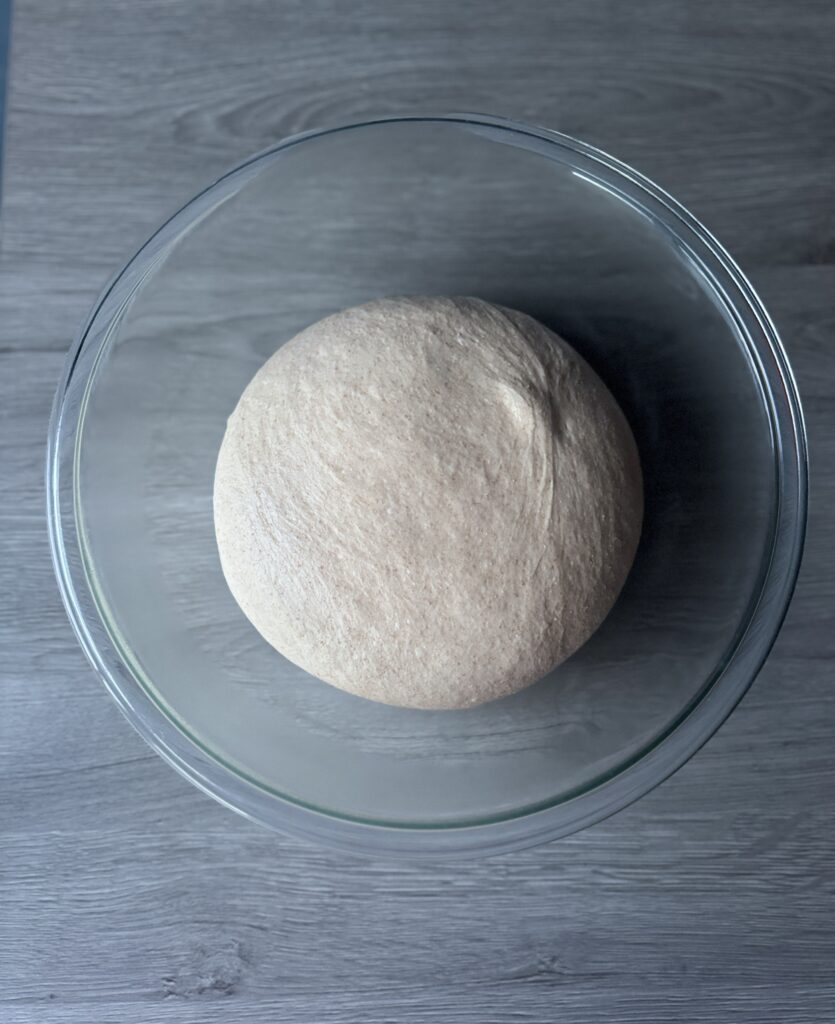 proofed honey whole wheat English muffin dough