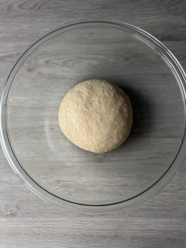 kneaded English muffin dough