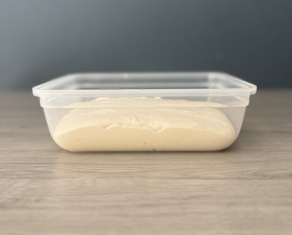 proofed ciabatta dough