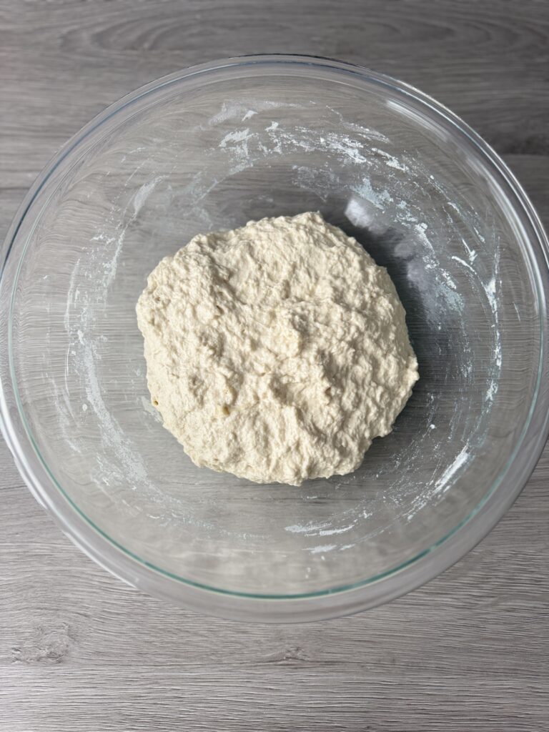 mixed ciabatta dough