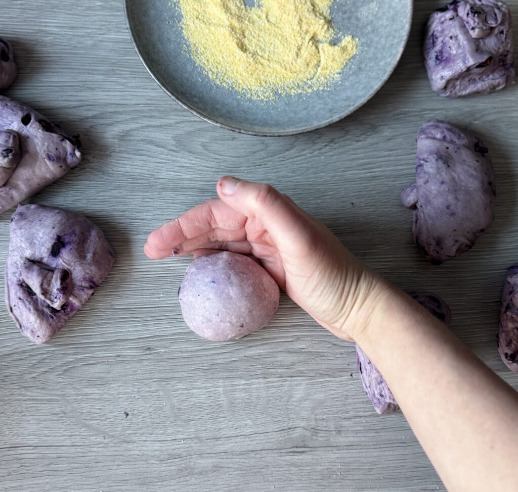 shaping English muffins