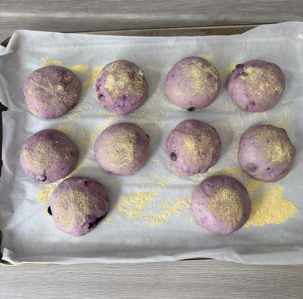 proofed sourdough blueberry English muffins