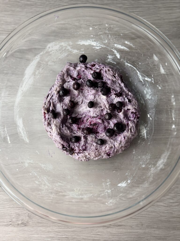 adding dried blueberries