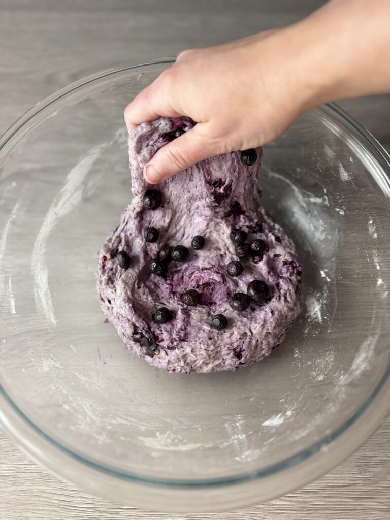 adding dried blueberries