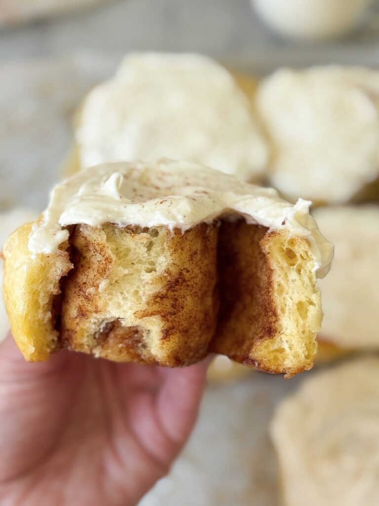 sourdough discard cinnamon roll crumb