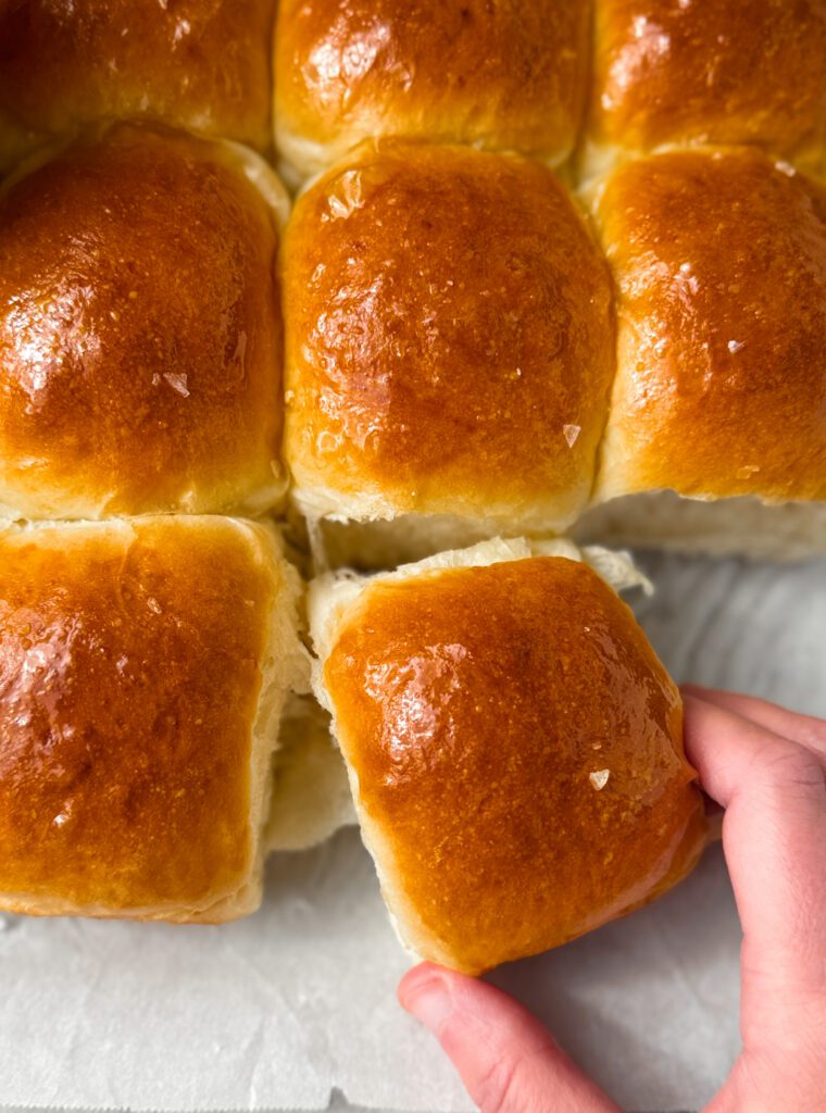 sourdough discard dinner rolls