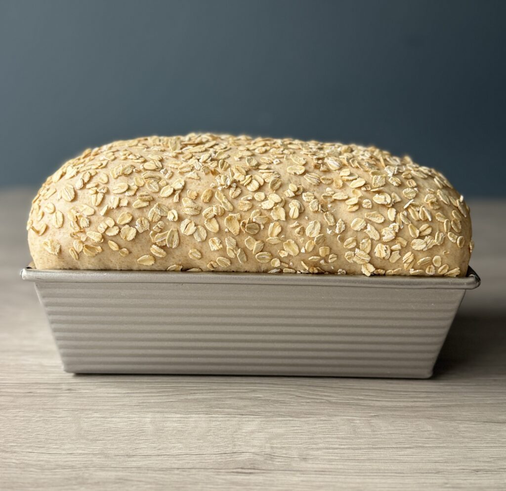 proofed honey wheat sourdough sandwich bread