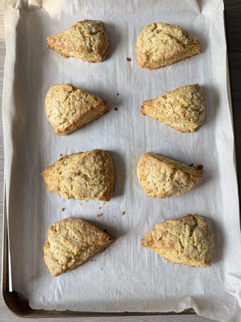 bakes orange vanilla sourdough scones