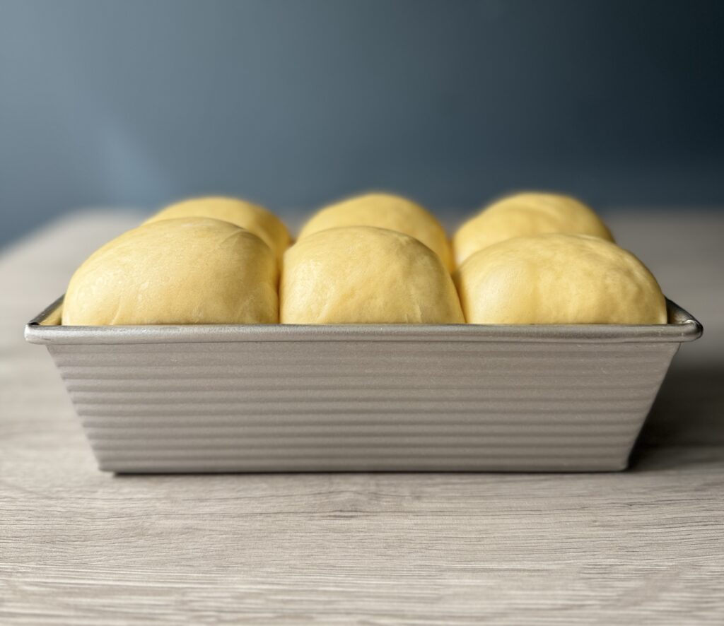 proofed sourdough discard brioche