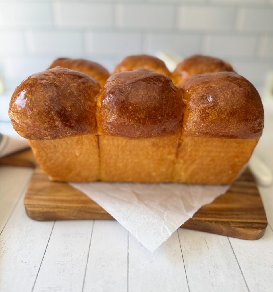 sourdough discard brioche