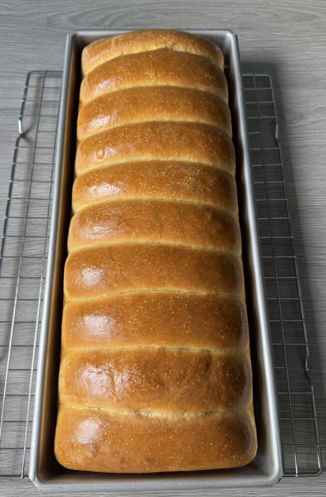 baked hot dog buns