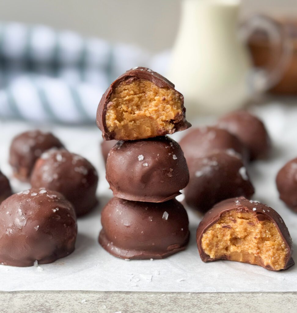 Chocolate Covered Peanut Butter Protein Bites