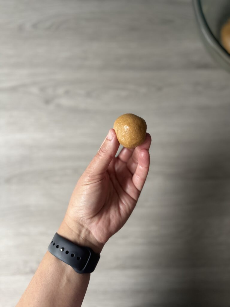shaping protein bites