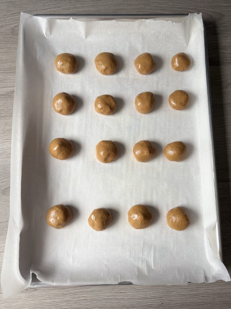 shaping protein bites