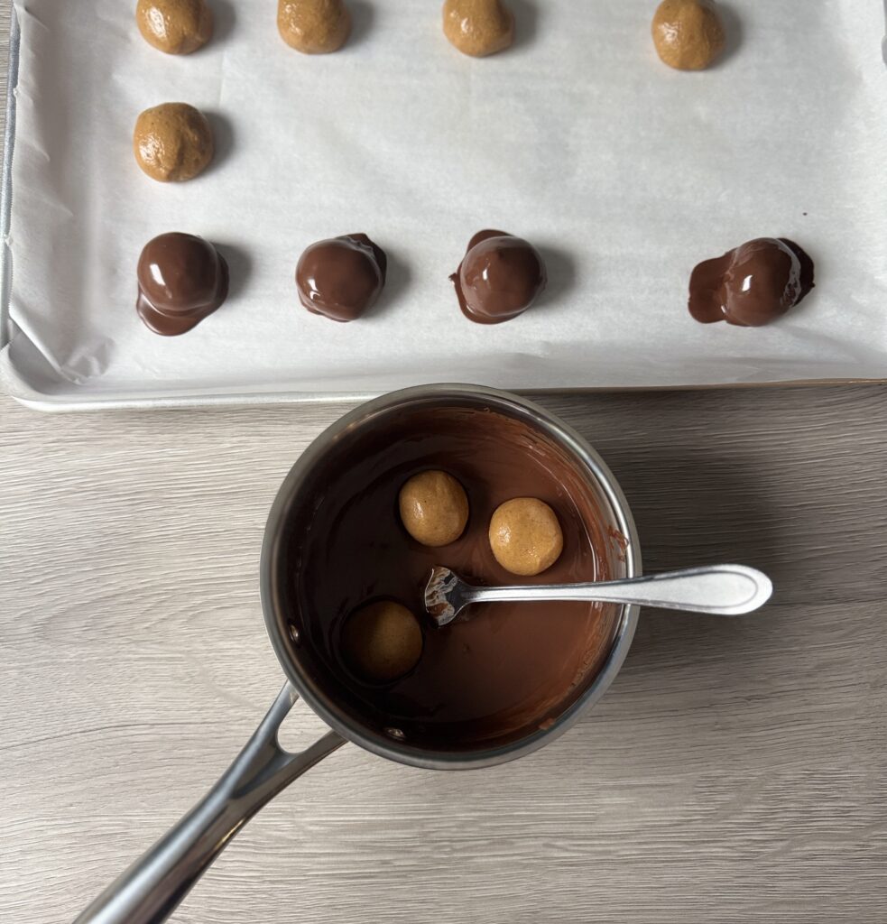 shaping protein bites