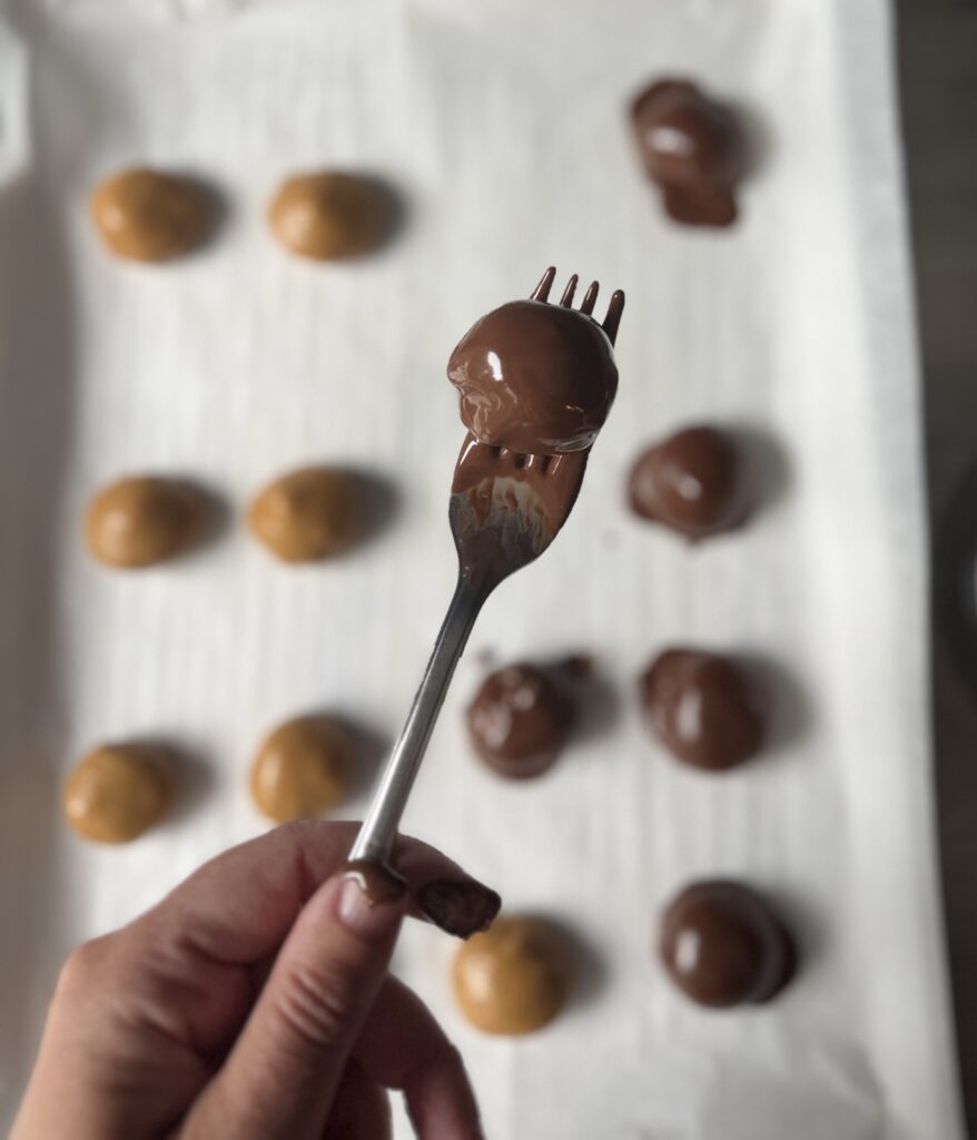 protein bites